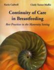 Continuity Of Care In Breastfeeding: Best Practices In The Maternity Setting - Book