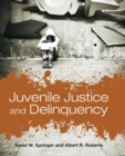 Juvenile Justice And Delinquency - Book