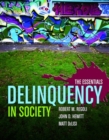 Delinquency In Society: The Essentials - Book