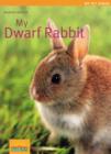 My Dwarf Rabbit - Book