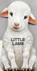 Little Lamb : Look at Me - Book