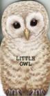 Little Owl : Look at Me - Book