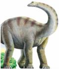 Diplodocus : Diplodocus - Book