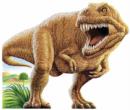 Tyrannosaurus : T-Rex - Book