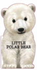Little Polar Bear - Book