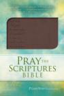 Pray the Scriptures Bible - Book