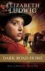 Dark Road Home - Book