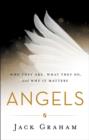 Angels : Who They Are, What They Do, and Why It Matters - Book