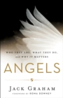 Angels - Who They Are, What They Do, and Why It Matters - Book