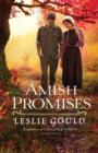 Amish Promises - Book