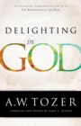 Delighting in God - Book