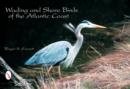 Wading & Shore Birds of the Atlantic Coast - Book