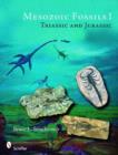Mesozoic Fsils: Triassic and Jurassic - Book