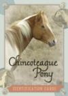 Chincoteague Pony Identification Cards - Book