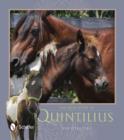 The True Story of Quintilius - Book