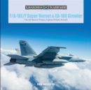 F/A-18E/F Super Hornet and EA-18G Growler : The US Navy’s Primary Fighter/Attack Aircraft - Book