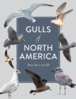 Gulls of North America - Book