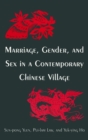 Marriage, Gender and Sex in a Contemporary Chinese Village - Book