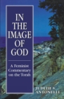 In the Image of God : A Feminist Commentary on the Torah - Book