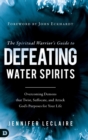 The Spiritual Warrior's Guide to Defeating Water Spirits - Book