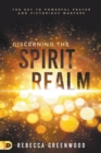 Discerning the Spirit Realm - Book