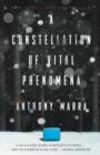 A Constellation of Vital Phenomena : A Novel - Book