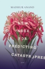 A New Index For Predicting Catastrophes - Book