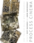 Process Cinema : Handmade Film in the Digital Age - Book