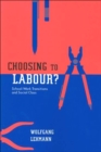 Choosing to Labour? : School-Work Transitions and Social Class - eBook
