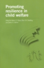 Promoting Resilience in Child Welfare - Book