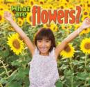 What are Flowers - Book