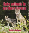 Baby Animals in Northern Forests - Book