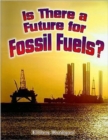 Is There a Future for Fossil Fuels? - Book