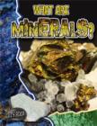 What Are Minerals? - Book