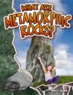 What Are Metamorphic Rocks? - Book