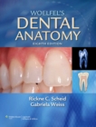Woelfel's Dental Anatomy : It's Relevance to Dentistry - Book