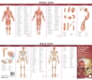 Anatomical Chart Company's Illustrated Pocket Anatomy: The Muscular & Skeletal Systems Study Guide - Book