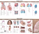 Anatomical Chart Company's Illustrated Pocket Anatomy: Anatomy & Disorders of The Respiratory System Study Guide - Book