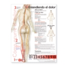 Understanding Pain Anatomical Chart in Spanish - Book