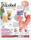 Dangers of Alcohol Anatomical Chart - Book