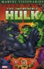 Hulk Visionaries: Peter David Vol.6 - Book