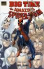 Spider-man: Big Time - Book
