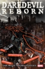Daredevil: Reborn - Book