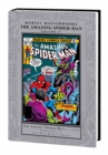 Marvel Masterworks: The Amazing Spider-man Volume 17 - Book