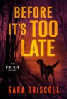 Before It's Too Late - eBook