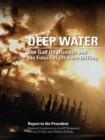 DEEP WATER : The Gulf Oil Disaster and the Future of Offshore Drilling - eBook