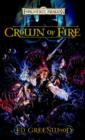 Crown of Fire - eBook