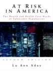 At Risk in America : The Health and Health Care Needs of Vulnerable Populations in the United States - Book