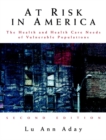 At Risk in America : The Health and Health Care Needs of Vulnerable Populations in the United States - eBook