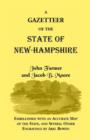 Gazetteer of the State of New Hampshire - Book